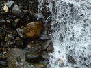 DSCF4361