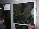 P1210379