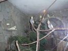 P1210383