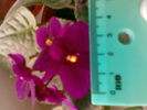 11112010(002)