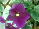 11112010(001)