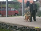 SANY3228