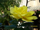 DSCI0244