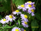 DSCI0347