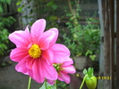 DSCI0996