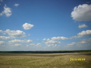 DSCI0040