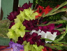 DSCI0674