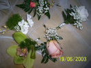 poza_flori_04
