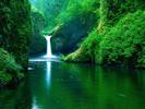 imagini-desktop-wallpapers-cascada-in-jungla