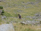 IMG_0062