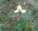 Imag001