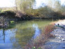 2009_012512Poze0773