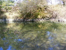 2009_012512Poze0781