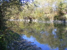 2009_012512Poze0783