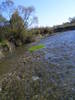2009_012512Poze0786