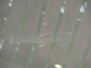 DSC00494