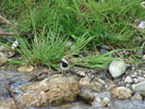 DSC00497