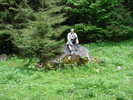 DSC00498