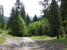 DSC00500