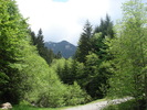 DSC00501