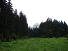 DSC00502