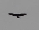 DSC00507