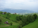 DSC00509