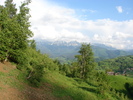 DSC00513