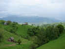 DSC00514