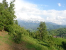DSC00515