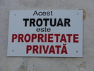 DSC00516