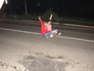 DSC00520