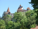 DSC00537