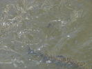 DSC00540