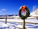 Snowy Wreath, Sun Valley, Indiana