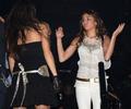 miley (347)