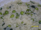 DSCI0511