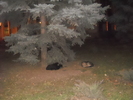 Picture 031