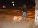 Picture 034