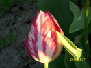 DSCI0370