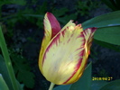 DSCI0371
