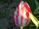 DSCI0372