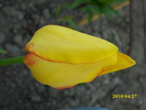 DSCI0415
