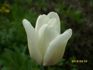 DSCI0282