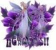 images (7)
