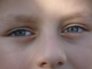 DSC00060