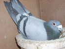 DSCN1459