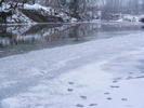 2010_0201Copca0049