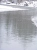 2010_0201Copca0052