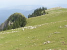 P8040167
